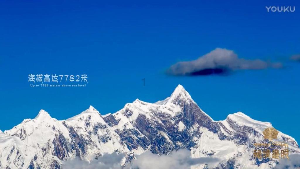鲜奶运输车找不同